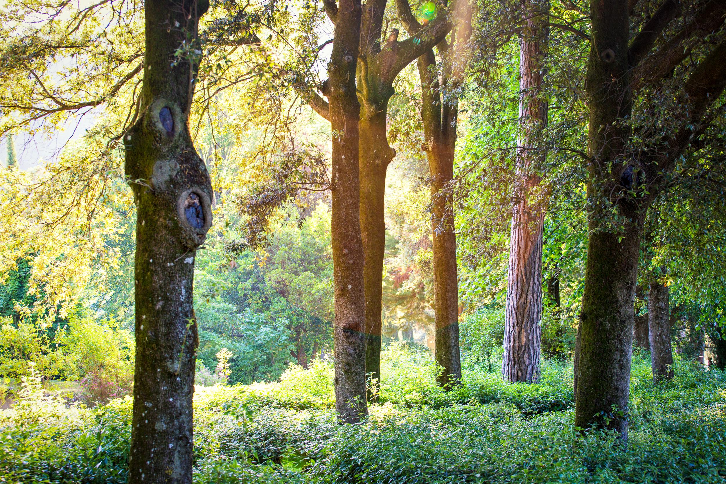 Villa Pitiana Donnini Esterno foto